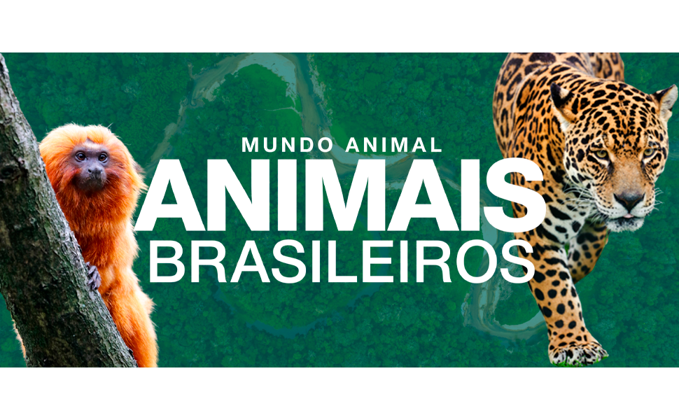 LIVRO MUNDO ANIMAL ANIMAIS BRASILEIROS