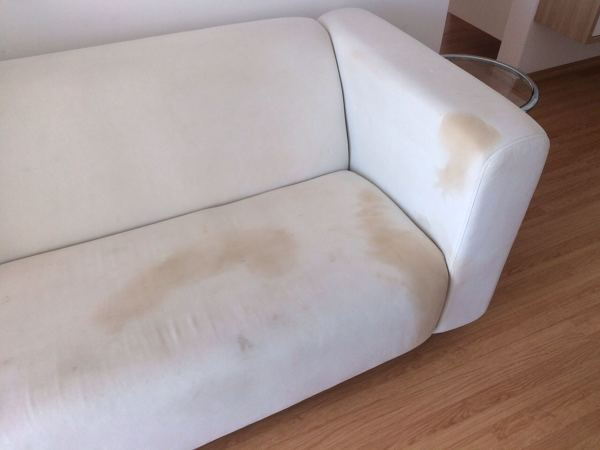 Foto: Sofá Manchado com Café de Ecolimp Higienização De Estofados E Veículos #1330126 - Habitissimo