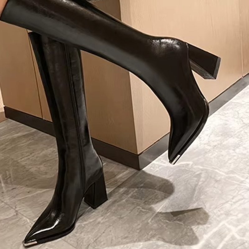 Bota Feminina Cano Longo Bico Fino Salto Grosso3