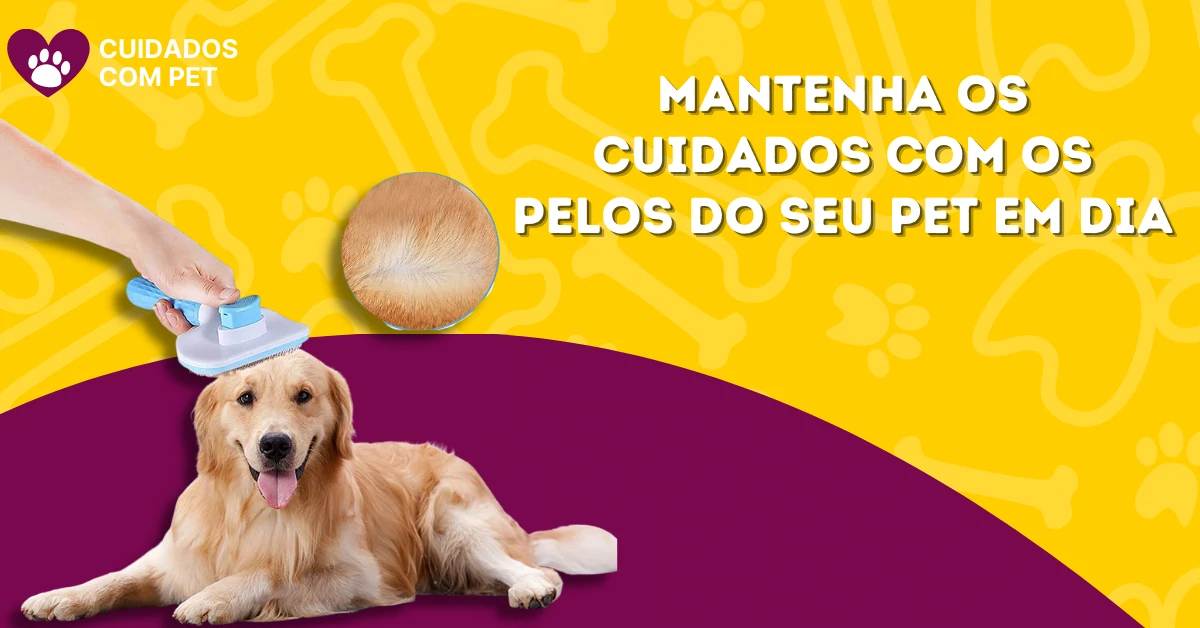 Pente removedor de pelos PetHair