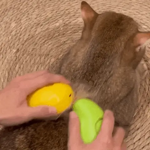 Escova Removedora de Pelos à Vapor - Pet Hair Cleaner