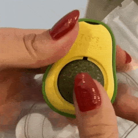 Abacate Divertido para Gatos Peludinho Fun®