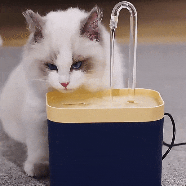 Bebedouro para Gatos Premium - Fonte de Água para Gatos - USB