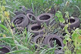 trepa trepa infantil