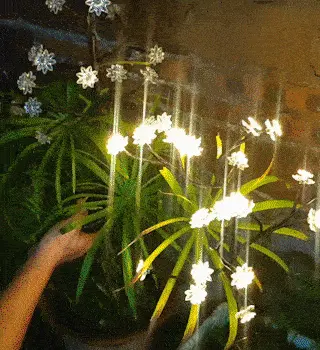 Luminária Solar para Jardim Cherry Blossom Bigstock